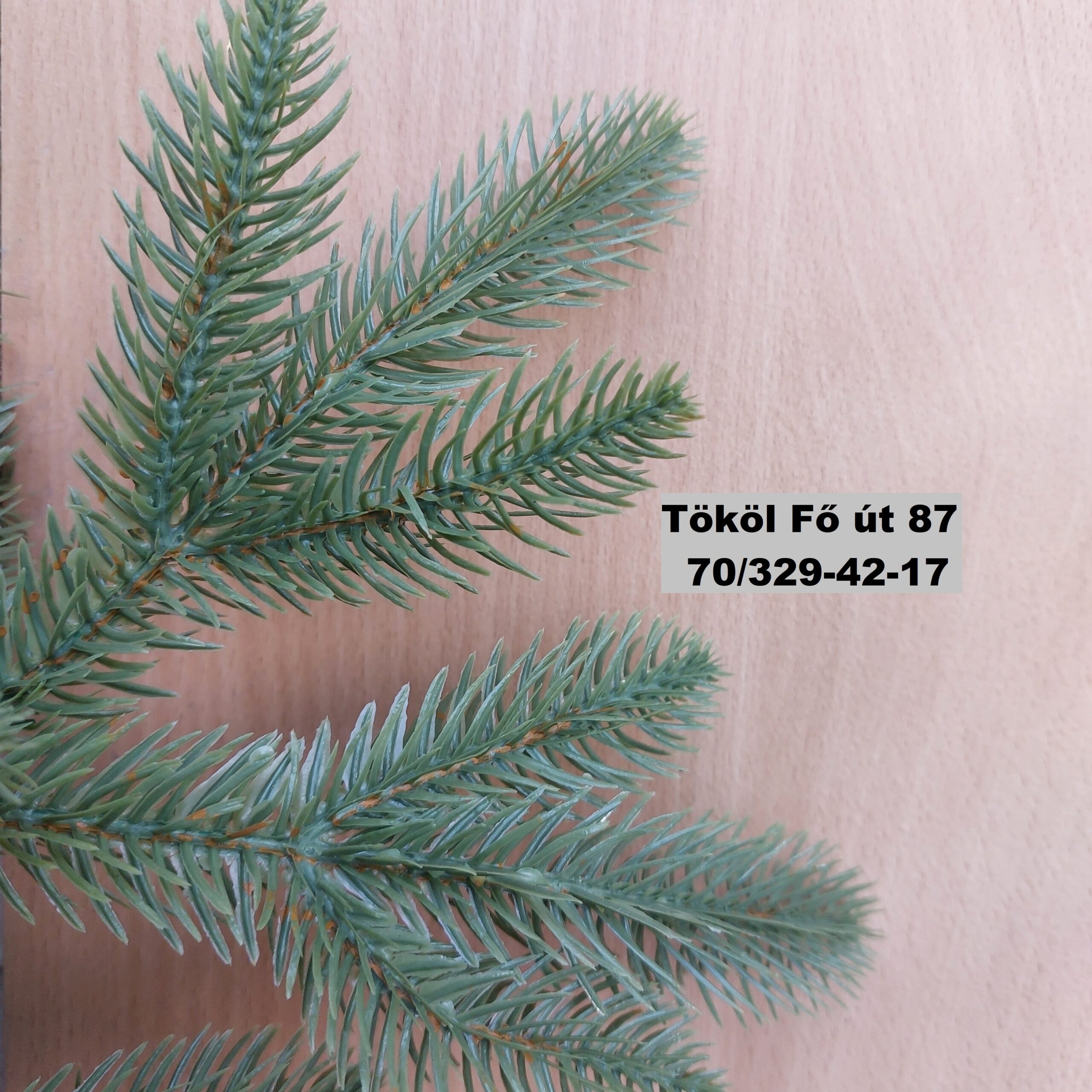 M15 Teljesen 3D zöld műfenyő (3D) - Image 6