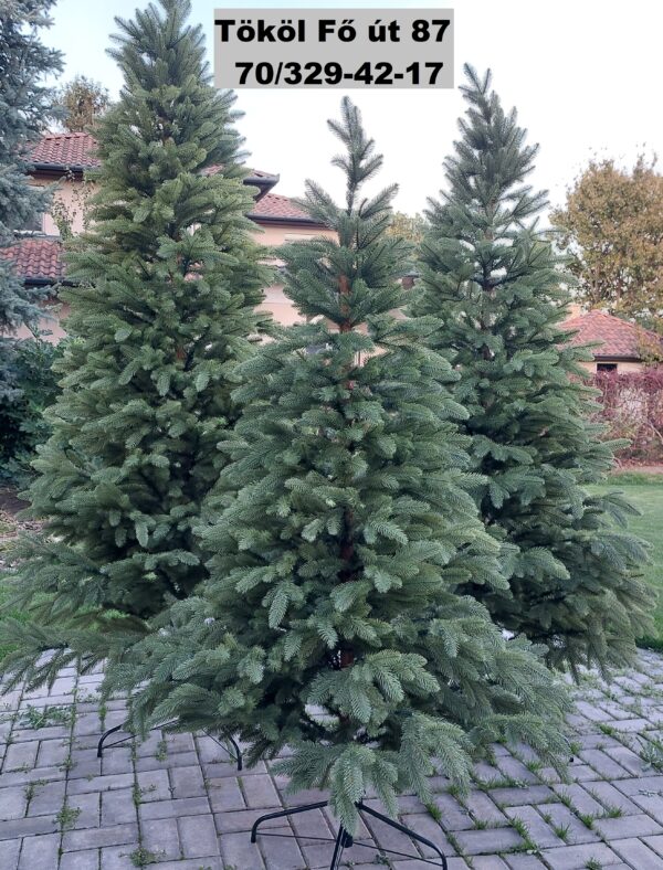 M15 Teljesen 3D zöld műfenyő (3D) - Image 3